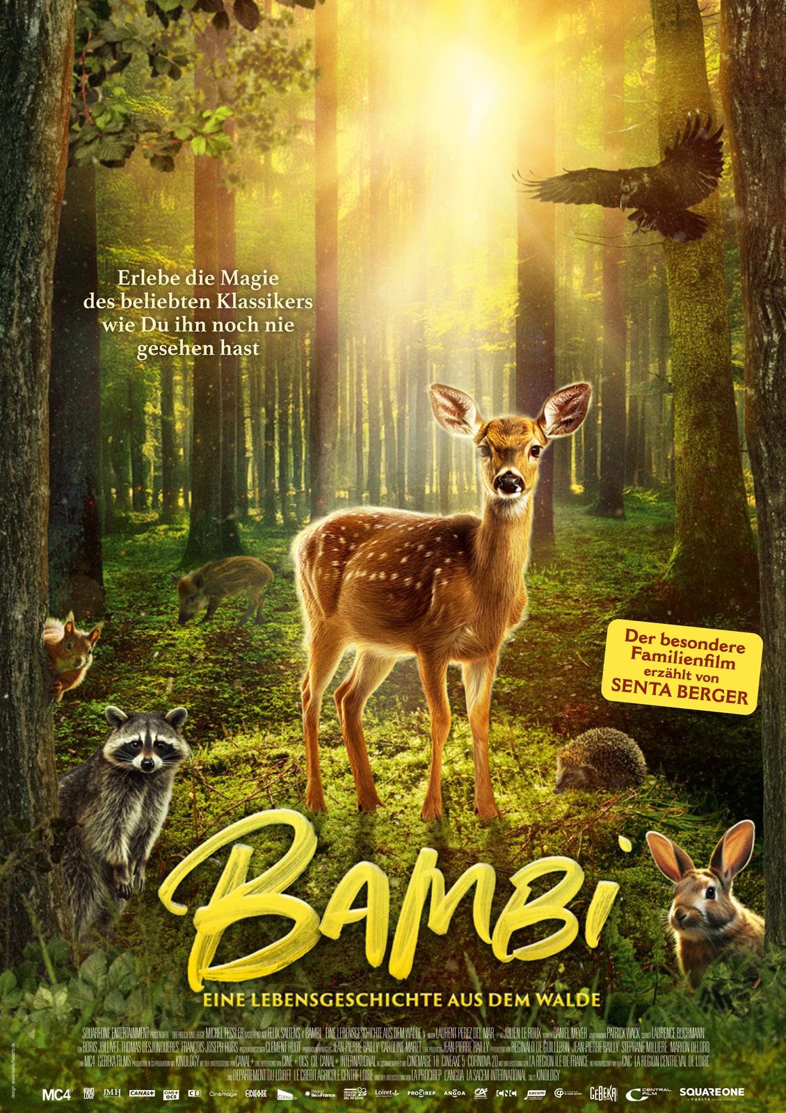 BAMBI